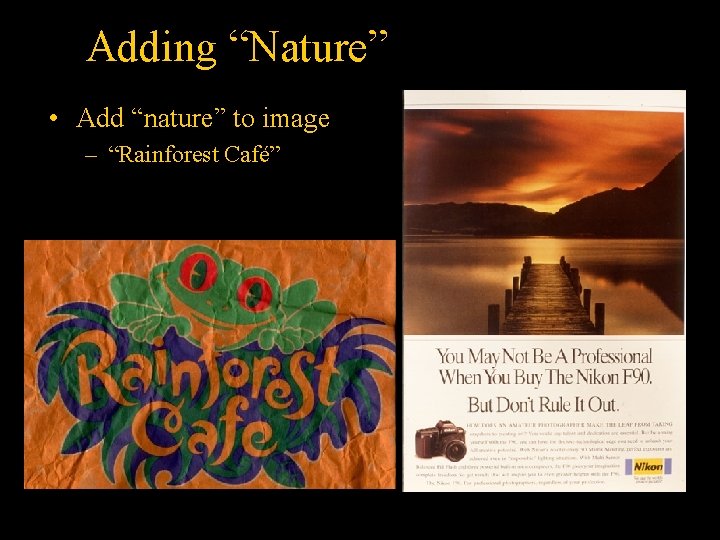 Adding “Nature” • Add “nature” to image – “Rainforest Café” 