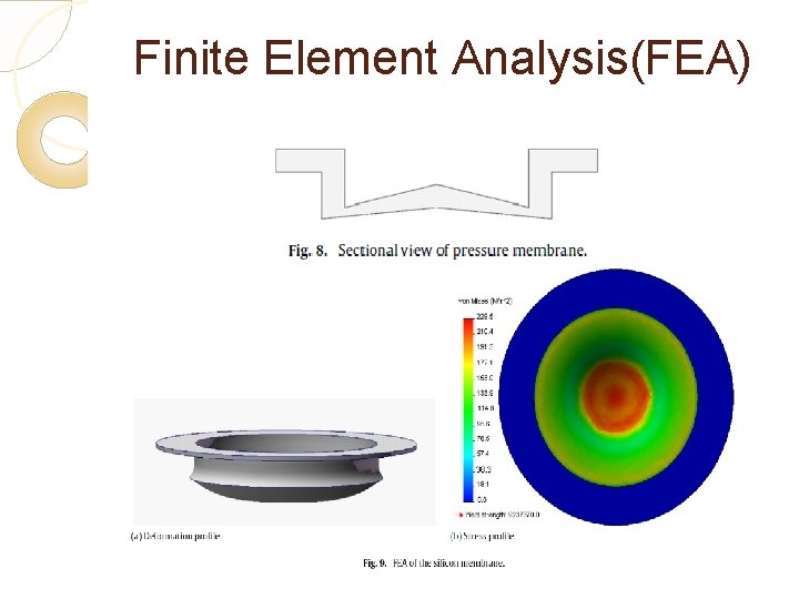 Finite Element Analysis(FEA) 