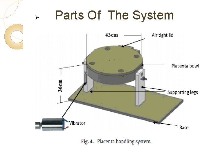 Ø Parts Of The System 