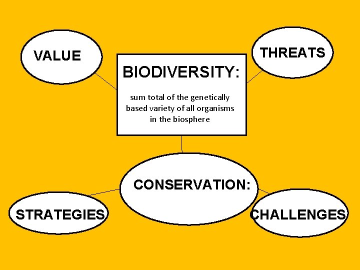VALUE THREATS BIODIVERSITY: sum total of the genetically based variety of all organisms in