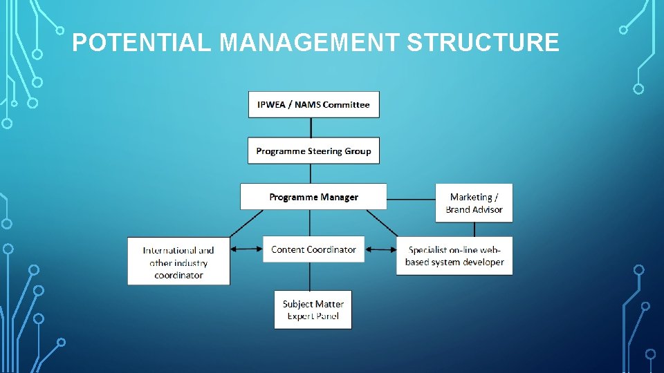 POTENTIAL MANAGEMENT STRUCTURE 