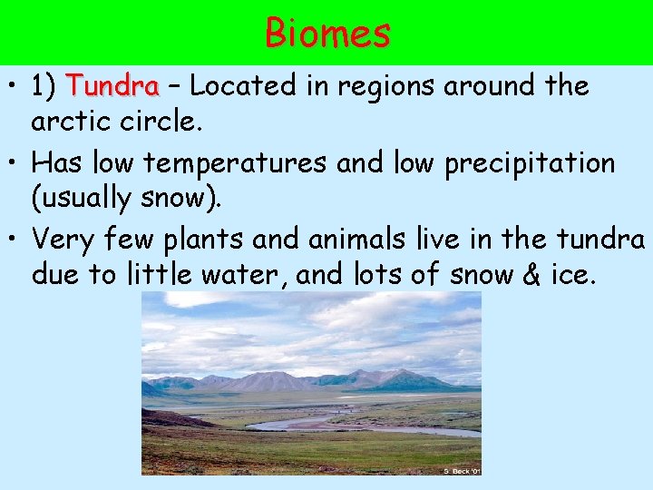 Biomes • 1) Tundra – Located in regions around the arctic circle. • Has