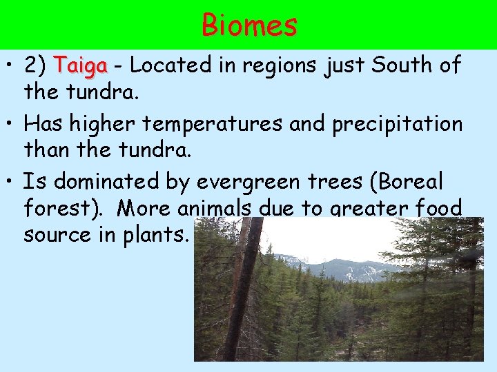 Biomes • 2) Taiga - Located in regions just South of the tundra. •