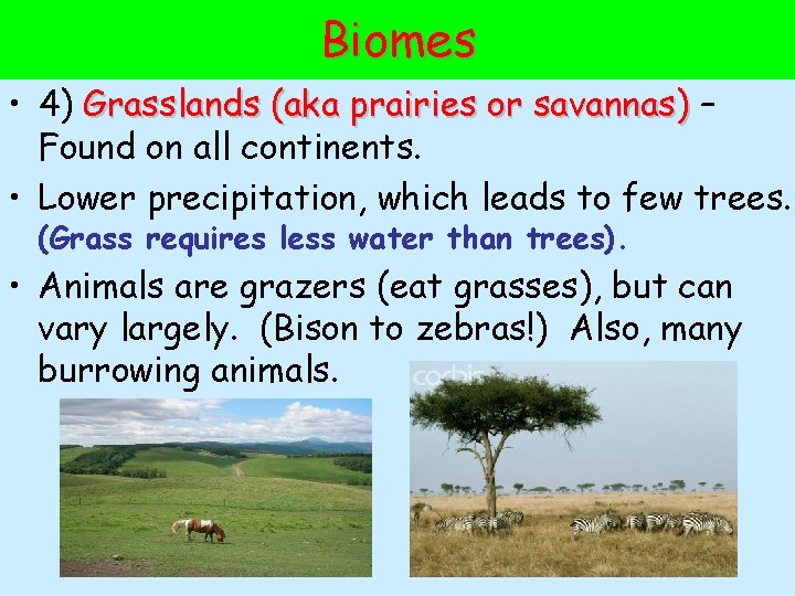 Biomes • 4) Grasslands (aka prairies or savannas) – Found on all continents. •
