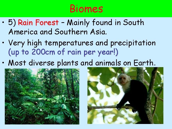 Biomes • 5) Rain Forest – Mainly found in South America and Southern Asia.