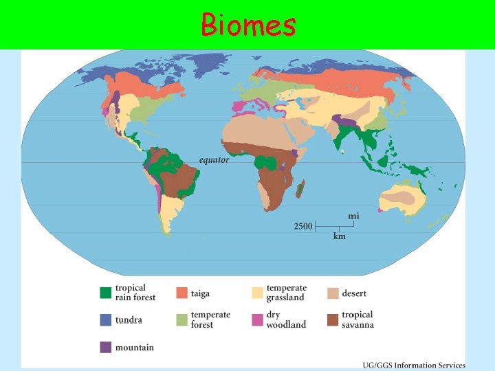 Biomes 