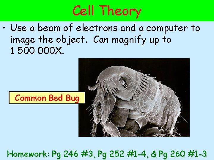 Cell Theory • Use a beam of electrons and a computer to image the