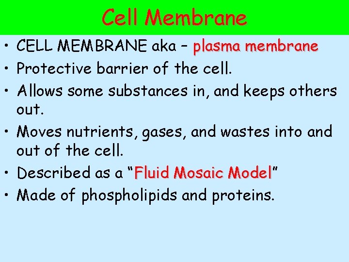 Cell Membrane • CELL MEMBRANE aka – plasma membrane • Protective barrier of the