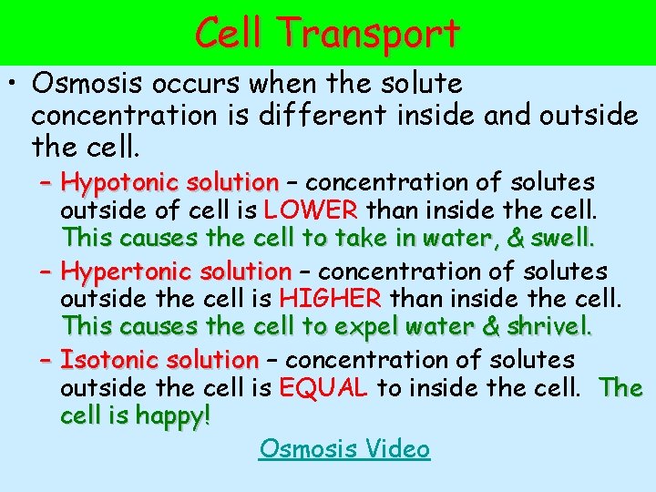 Cell Transport • Osmosis occurs when the solute concentration is different inside and outside