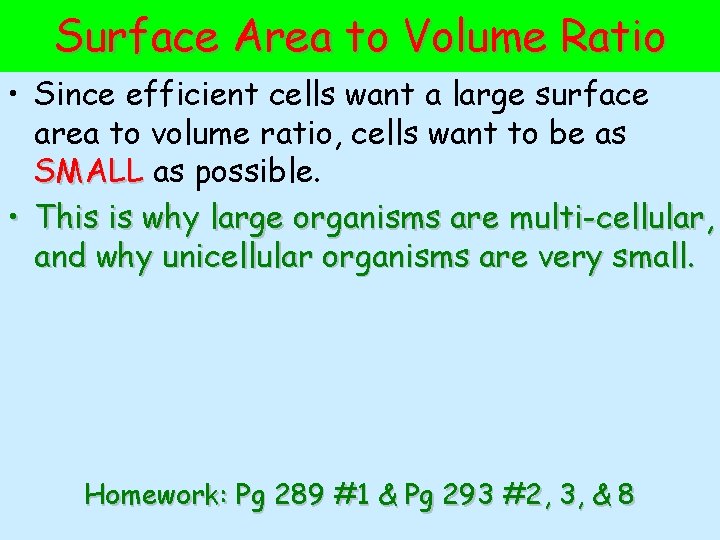 Surface Area to Volume Ratio • Since efficient cells want a large surface area