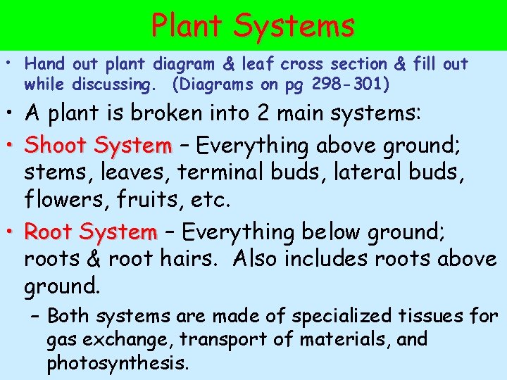 Plant Systems • Hand out plant diagram & leaf cross section & fill out