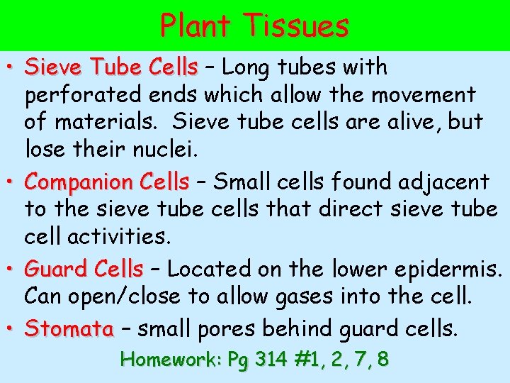 Plant Tissues • Sieve Tube Cells – Long tubes with perforated ends which allow