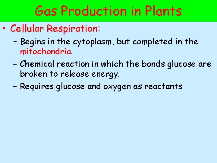 Gas Production in Plants • Cellular Respiration: Respiration – Begins in the cytoplasm, but