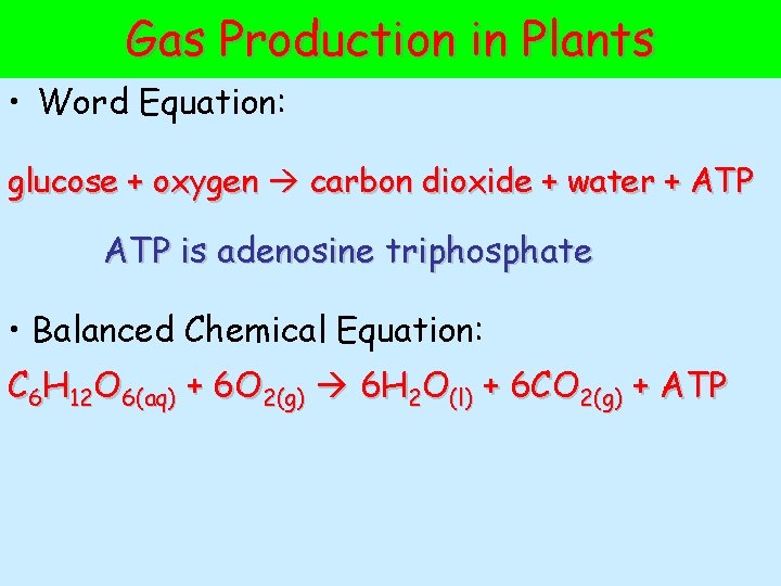 Gas Production in Plants • Word Equation: glucose + oxygen carbon dioxide + water