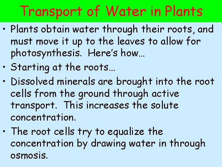 Transport of Water in Plants • Plants obtain water through their roots, and must