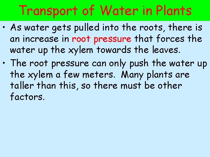 Transport of Water in Plants • As water gets pulled into the roots, there
