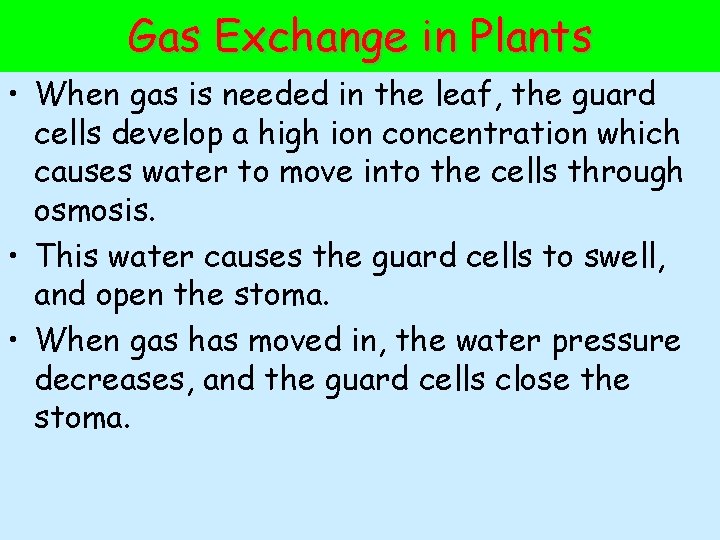 Gas Exchange in Plants • When gas is needed in the leaf, the guard
