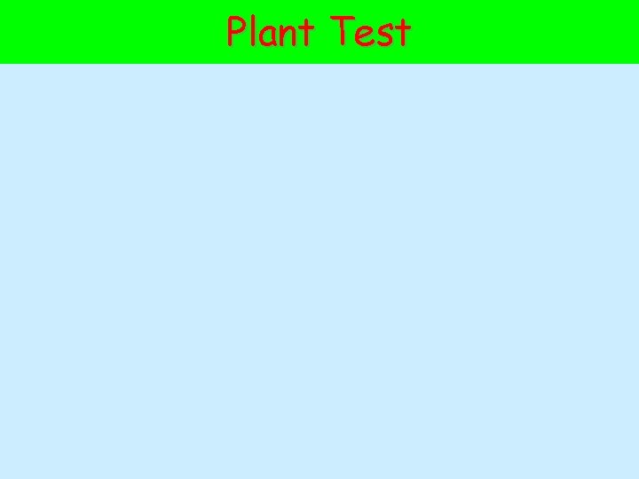 Plant Test 