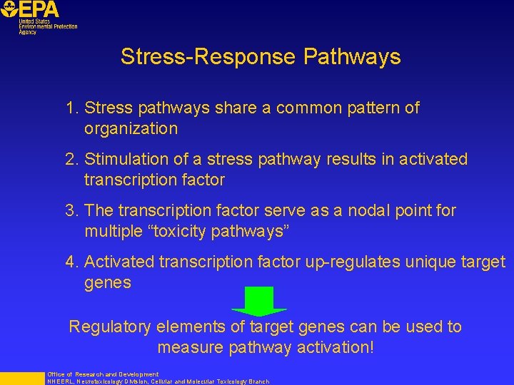 Stress-Response Pathways 1. Stress pathways share a common pattern of organization 2. Stimulation of