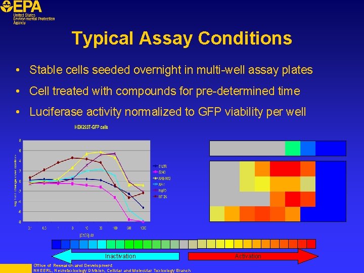 Typical Assay Conditions • Stable cells seeded overnight in multi-well assay plates • Cell