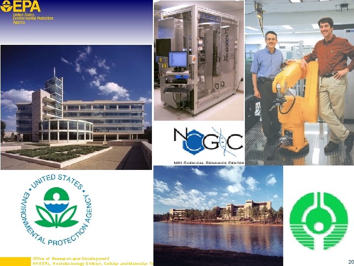 Office of Research and Development NHEERL, Neurotoxicology Division, Cellular and Molecular Toxicology Branch 20