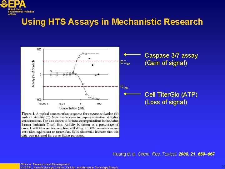Using HTS Assays in Mechanistic Research EC 50 Caspase 3/7 assay (Gain of signal)