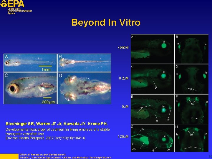 Beyond In Vitro control 0. 2 u. M 5 u. M Blechinger SR, Warren