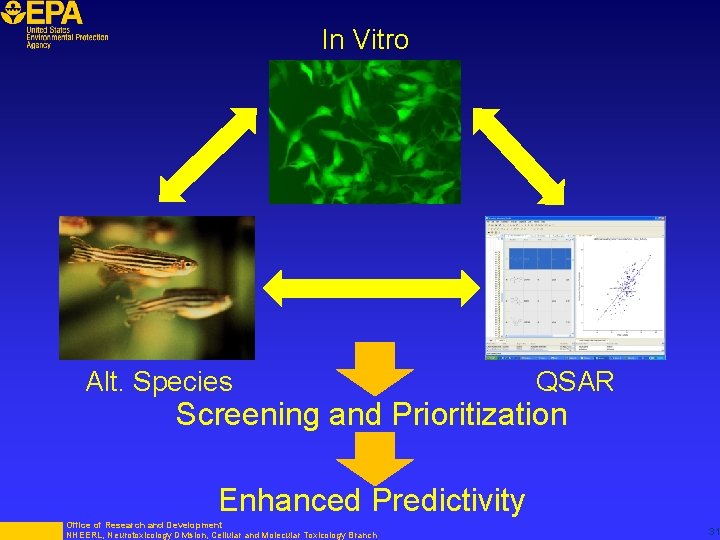 In Vitro Alt. Species QSAR Screening and Prioritization Enhanced Predictivity Office of Research and