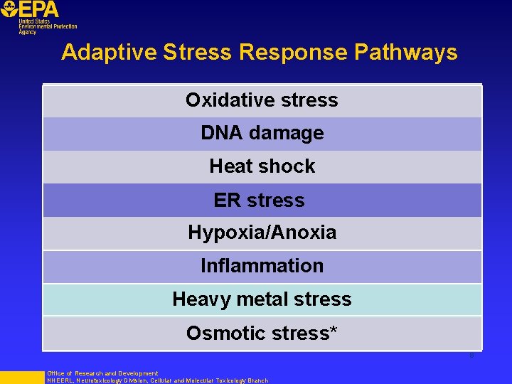 Adaptive Stress Response Pathways Oxidative stress DNA damage Heat shock ER stress Hypoxia/Anoxia Inflammation
