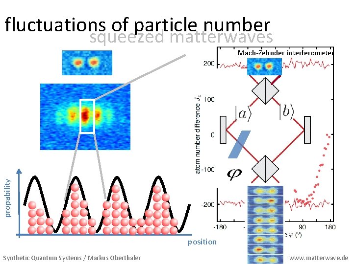 fluctuations of particle number squeezed matterwaves propability Mach-Zehnder interferometer position Synthetic Quantum Systems /