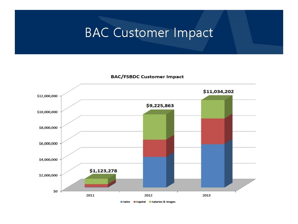 BAC Customer Impact 