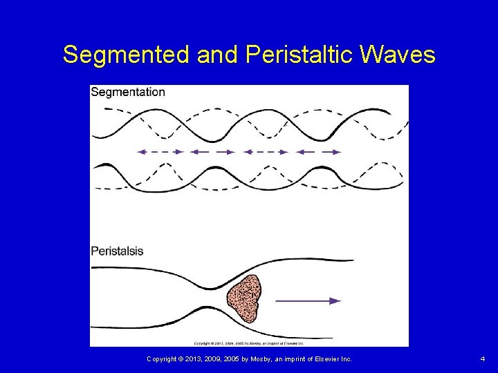 Segmented and Peristaltic Waves Copyright © 2013, 2009, 2005 by Mosby, an imprint of