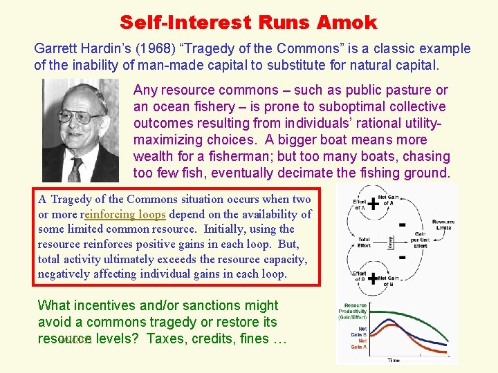 Self-Interest Runs Amok Garrett Hardin’s (1968) “Tragedy of the Commons” is a classic example