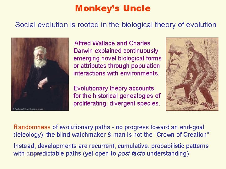 Monkey’s Uncle Social evolution is rooted in the biological theory of evolution Alfred Wallace