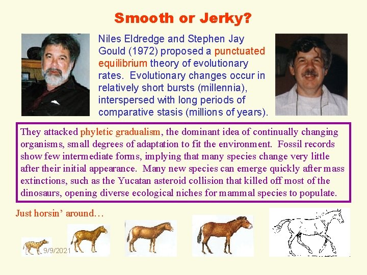 Smooth or Jerky? Niles Eldredge and Stephen Jay Gould (1972) proposed a punctuated equilibrium