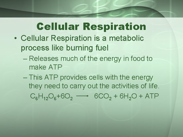 Cellular Respiration • Cellular Respiration is a metabolic process like burning fuel – Releases