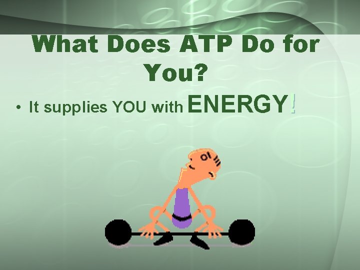  • What Does ATP Do for You? It supplies YOU with ENERGY! 