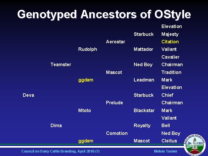 Genotyped Ancestors of OStyle Elevation Starbuck Majesty Aerostar Rudolph Citation Mattador Valiant Cavalier Teamster