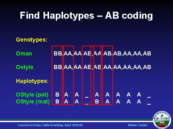 Find Haplotypes – AB coding Genotypes: Oman BB, AA, AB, AA, AB Ostyle BB,