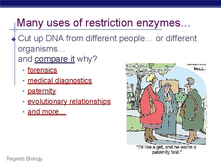 Many uses of restriction enzymes… ◆ Cut up DNA from different people… or different