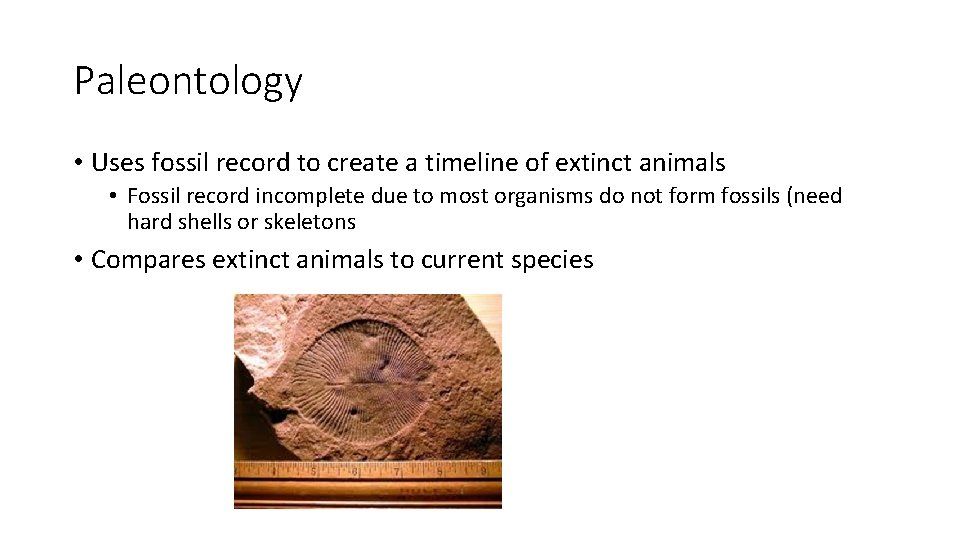 Paleontology • Uses fossil record to create a timeline of extinct animals • Fossil