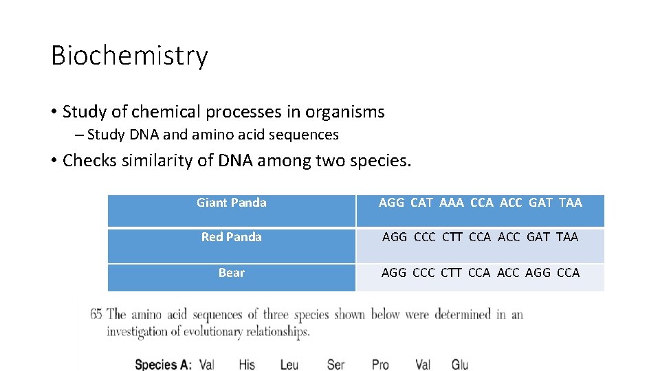 Biochemistry • Study of chemical processes in organisms – Study DNA and amino acid