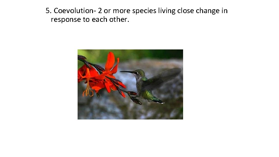 5. Coevolution- 2 or more species living close change in response to each other.