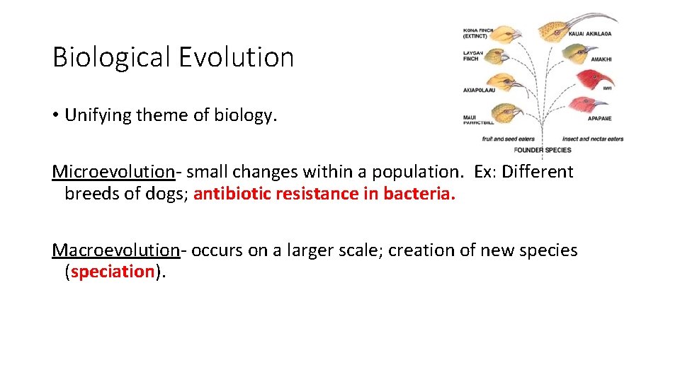 Biological Evolution • Unifying theme of biology. Microevolution- small changes within a population. Ex: