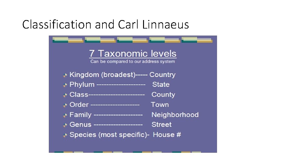Classification and Carl Linnaeus 