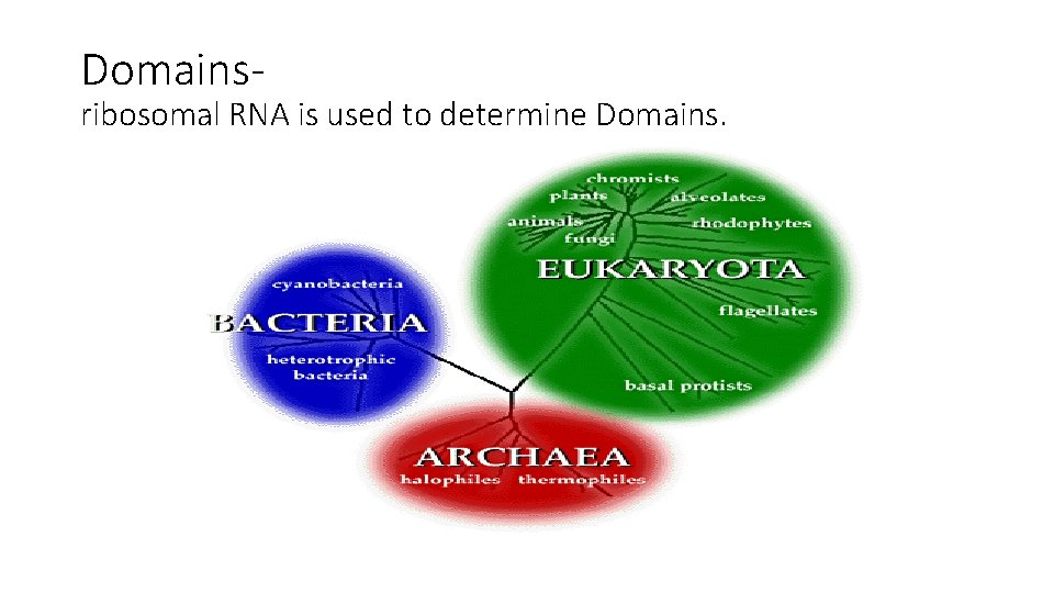 Domains- ribosomal RNA is used to determine Domains. 