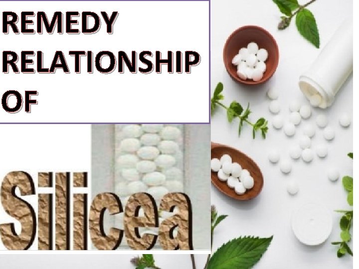 REMEDY RELATIONSHIP OF REMEDY RELATIONSHIP OF