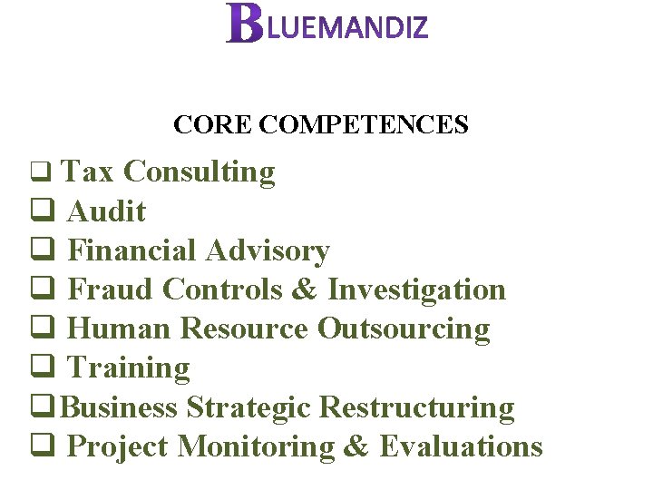 CORE COMPETENCES q Tax Consulting q Audit q Financial Advisory q Fraud Controls &