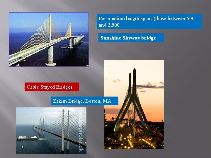 For medium length spans (those between 500 and 2, 800 Sunshine Skyway bridge Cable