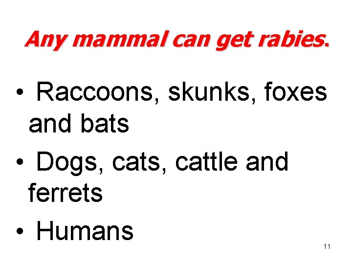 Any mammal can get rabies. • Raccoons, skunks, foxes and bats • Dogs, cattle